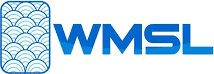 Wealth Management System Limited